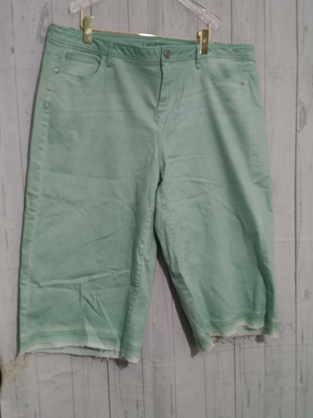 Lane Bryant Women's Mint Green Denim Bermuda Shorts Summer Style Sz 20 NWT